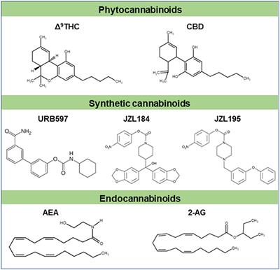 Exo- and Endo-cannabinoids in Depressive and Suicidal Behaviors